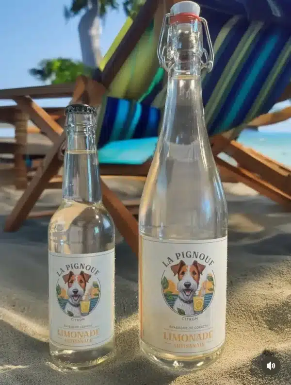 Limonade artisanale bio fabriquée en Corrèze par la Brasserie L'Ermite, boisson rafraîchissante locale.